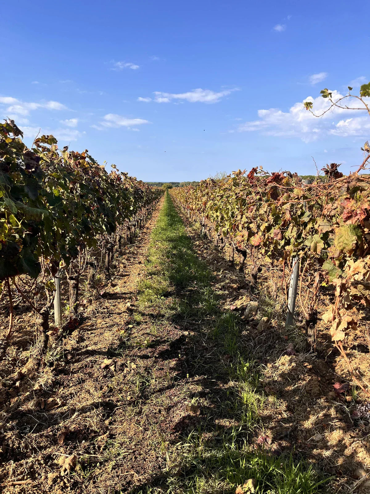 A Week in Tuscany (and Beyond) with My Parents