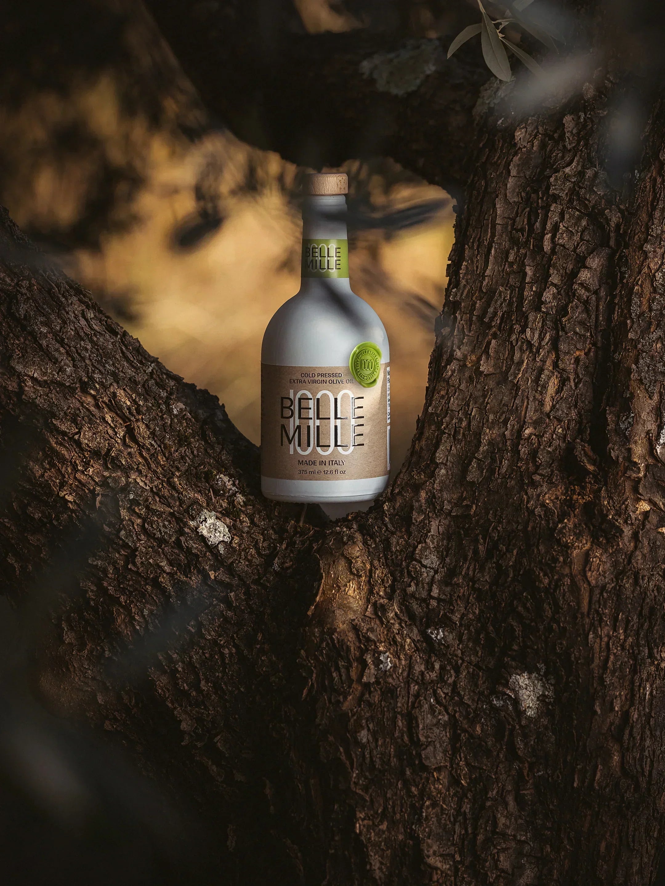 5 Reasons Why Olive Oil is Good for You