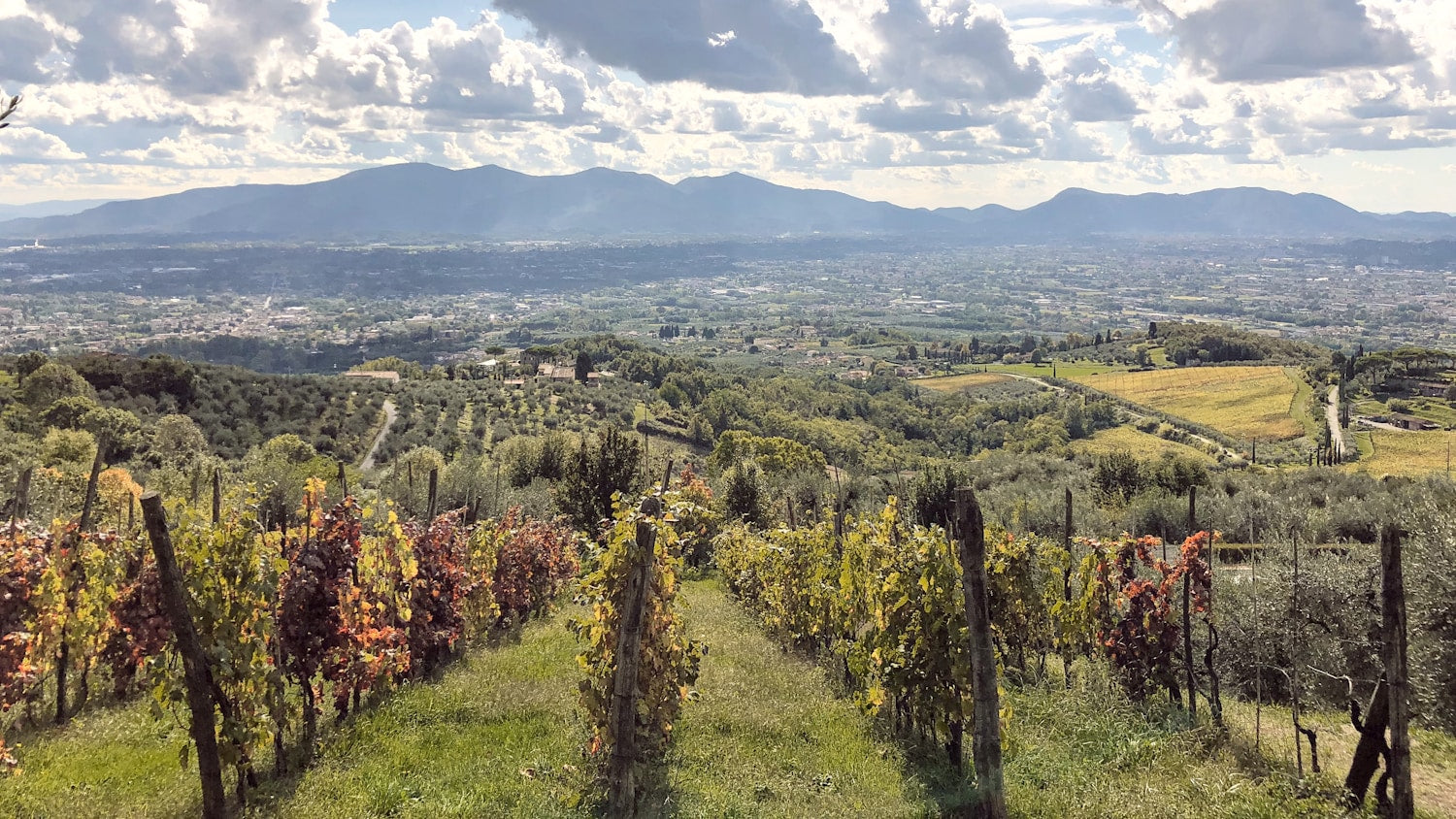 Fall in Tuscany